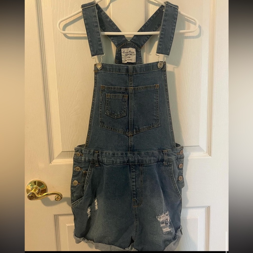 Denim Overalls